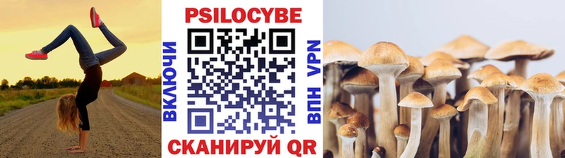 Псилоцибиновые грибы ЛСД  OMG рабочий сайт  Снежногорск 
